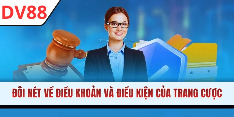 Đôi nét về điều khoản và điều kiện của trang